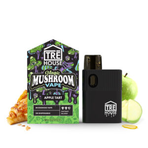 Tre House Magic Mushroom Disposable, buy Tre House Magic Mushroom Disposable, Tre House Magic Mushroom Disposable near me, buy Tre House Magic Mushroom Disposable near me, Tre House Magic Mushroom Disposable vape, buy Tre House Magic Mushroom Disposable vape, Tre House Magic Mushroom Disposable vape near me