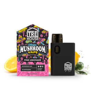 Tre House Magic Mushroom Disposable, buy Tre House Magic Mushroom Disposable, Tre House Magic Mushroom Disposable near me, buy Tre House Magic Mushroom Disposable near me, Tre House Magic Mushroom Disposable vape, buy Tre House Magic Mushroom Disposable vape, Tre House Magic Mushroom Disposable vape near me